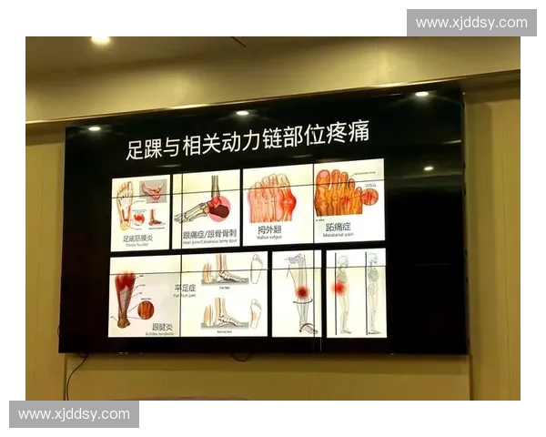 运动缓震片在提升运动表现与减少运动损伤中的关键作用与应用前景分析